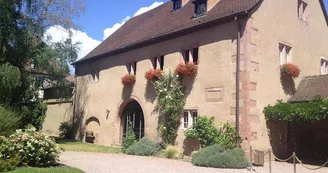 Musée du vignoble et des vins d'Alsace