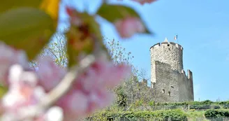 Le château de Kaysersberg