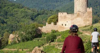 Le château de Kaysersberg