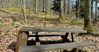 Aire de pique-nique - Chêne de la chapelle Aire de pique-nique - Chêne de la chapelle