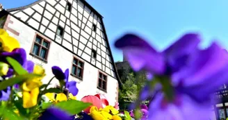Badhus