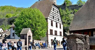 Badhus