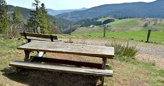 Aire de pique-nique - sur le chemin du Haycot Aire de pique-nique - sur le chemin du Haycot