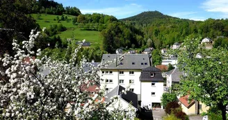 Hôtel-restaurant Aux Bruyères Hôtel-restaurant Aux Bruyères