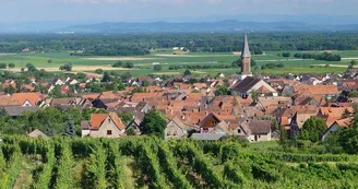 Kintzheim