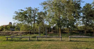 Plateau sportif