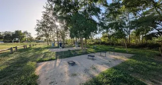 Plateau sportif