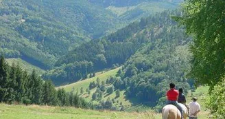 Equitation à Hergauchamps Equitation à Hergauchamps