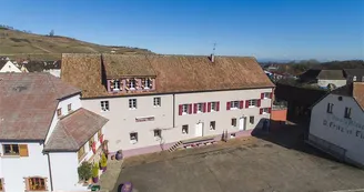 Monsieur FRITZ Thierry - Gite Amélie Monsieur FRITZ Thierry - Gite Amélie