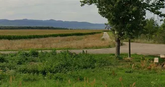 Aire de pique-nique du château d'eau