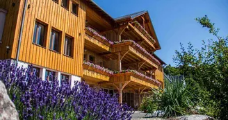 Gîtes d'Adelspach : Gîte Taennchel n°1600(8 personnes) Gîtes d'Adelspach : Gîte Taennchel n°1600(8 personnes)