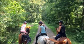 Les Ecuries d'Alsace