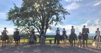 Les Ecuries d'Alsace