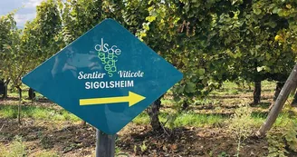 Sigolsheim