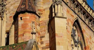 Collégiale Saint-Martin
