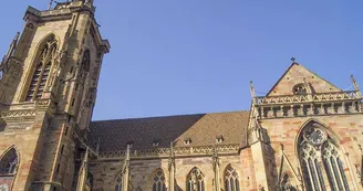Collégiale Saint-Martin