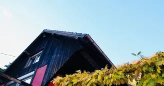 Gite Au Bois du Prince (4 personnes) Gite Au Bois du Prince (4 personnes)