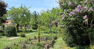 Jardin médiéval