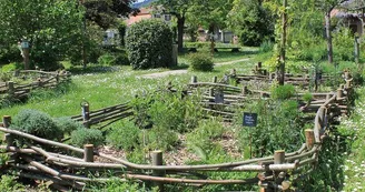 Jardin médiéval