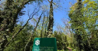 Réserve naturelle de l'Eiblen et l'Illfeld