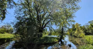 Réserve naturelle de l'Eiblen et l'Illfeld