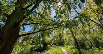 Réserve naturelle de l'Eiblen et l'Illfeld