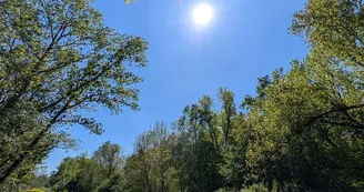 Réserve naturelle de l'Eiblen et l'Illfeld