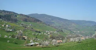 Monsieur DIDIERJEAN Denis - Gite des Cammes Monsieur DIDIERJEAN Denis - Gite des Cammes