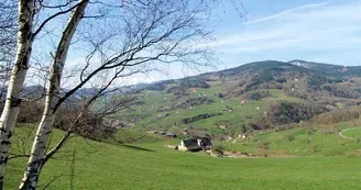 Monsieur DIDIERJEAN Denis - Gite des Cammes Monsieur DIDIERJEAN Denis - Gite des Cammes