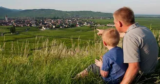 Vins Etienne Simonis Vins Etienne Simonis