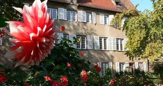 Jardin du Dahlia