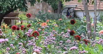 Jardin du Dahlia