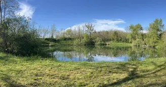 Etang de pêche du Grienle