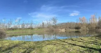 Etang de pêche du Grienle