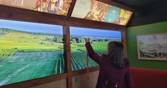 Vino Storia - Musée des Vins d'Alsace