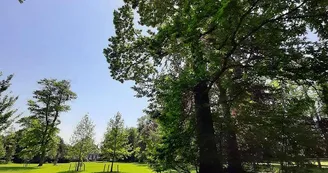 Le parc du manoir Le parc du manoir