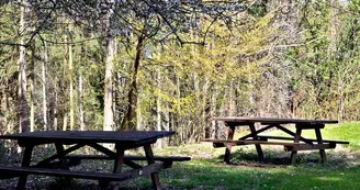 Aire de pique-nique - Chemin du Galtz Trois Epis Aire de pique-nique - Chemin du Galtz Trois Epis