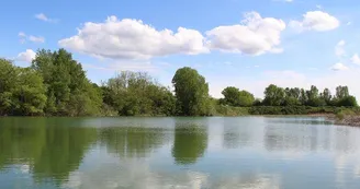 Etang de pêche Gé de l'Ill