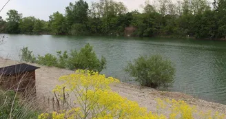 Etang de pêche Gé de l'Ill