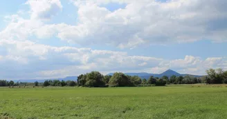 L'Ill*Wald, Réserve Naturelle Régionale du Ried de Sélestat L'Ill*Wald, Réserve Naturelle Régionale du Ried de Sélestat