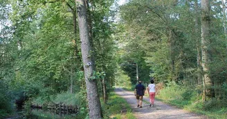 L'Ill*Wald, Réserve Naturelle Régionale du Ried de Sélestat L'Ill*Wald, Réserve Naturelle Régionale du Ried de Sélestat