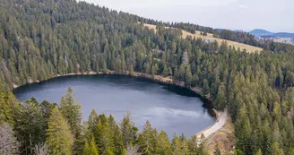 Pêche au Lac Vert