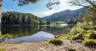 Lac du Forlet (Lac des Truites)