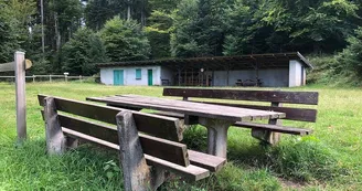 Aire de pique-nique - Chalet Weibel Aire de pique-nique - Chalet Weibel