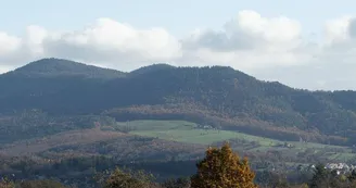 Chambre d'hôtes Tribord