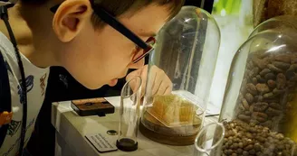 Choco Story - Le musée du Chocolat de Colmar Choco Story - Le musée du Chocolat de Colmar