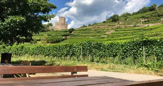 Aire de pique-nique - Sous le Château Aire de pique-nique - Sous le Château