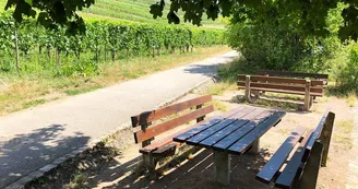 Aire de pique-nique - Sous le Château