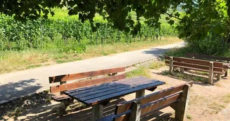 Aire de pique-nique - Sous le Château