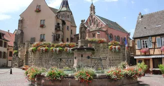 Le Château des Comtes d'Eguisheim